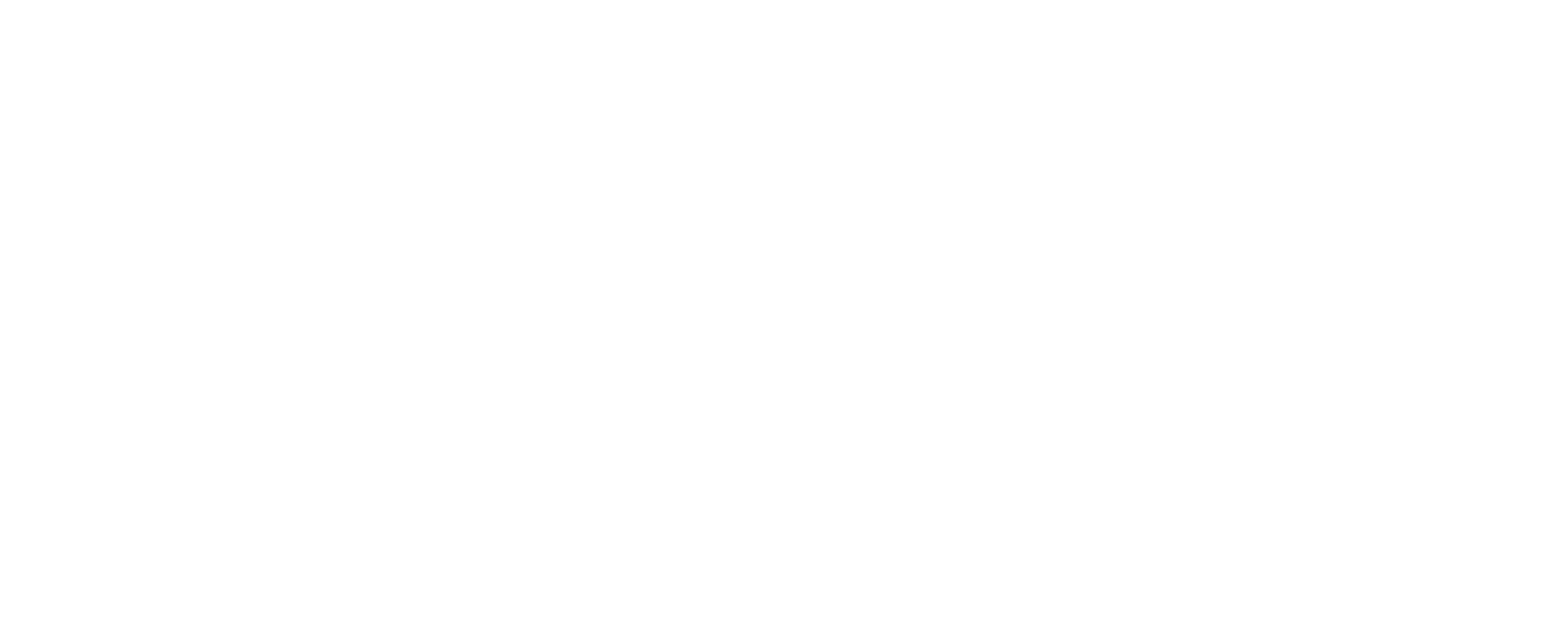 Ariel Automotores